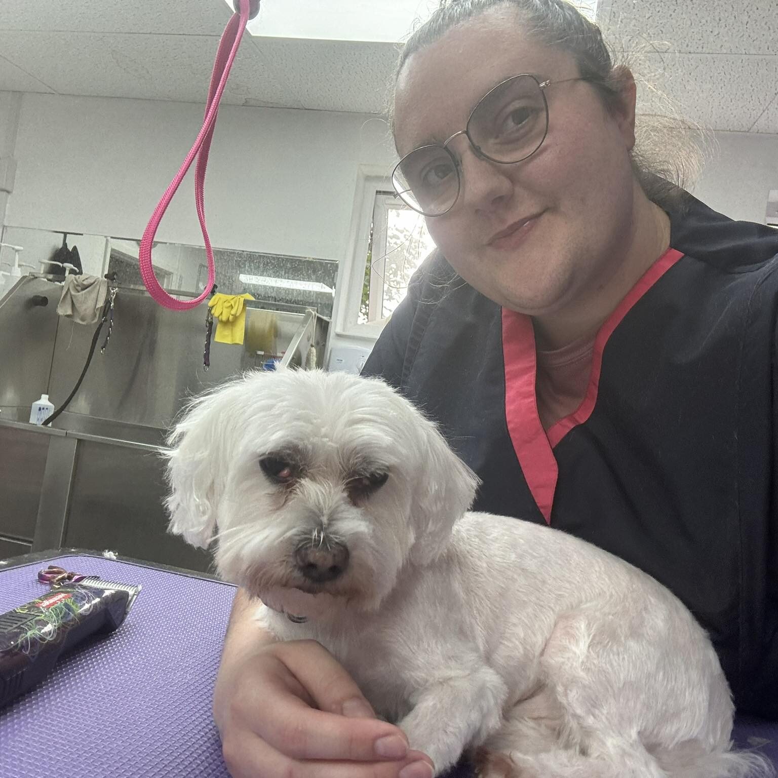laura and white dog